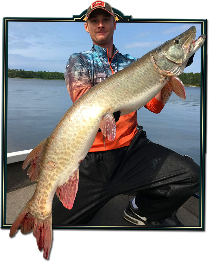 Muskie