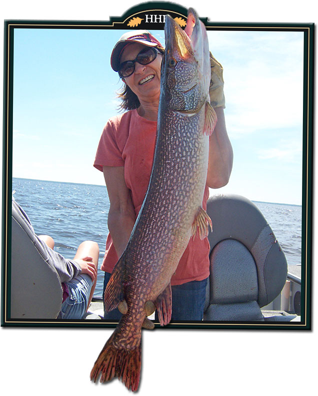 Northern Pike