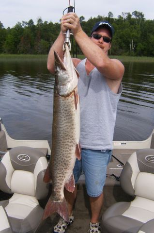 49 inch Musky on Lake of the Woods: Master Angler Musky on Lake of the Woods