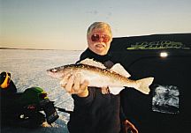 Winter ice fishing produces many large fish like this 18" Sauger, which is HUGE for a Sauger.: Related to the Walleye family, they are fun all winter long