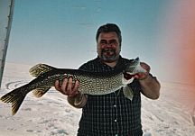 36" Northern Pike, another Master Angler harvested during winter ice fishing.: ice fishing in comfortable heated ice huts