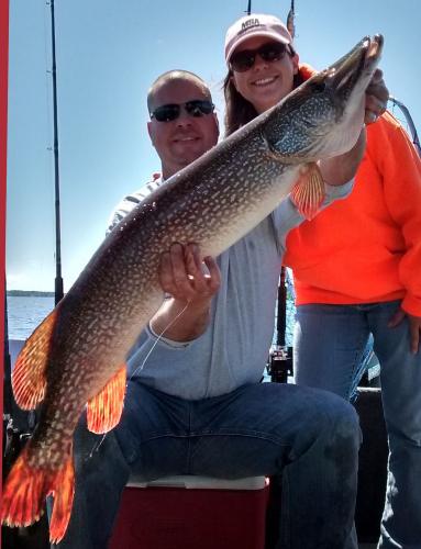 Northern Pike 47in lake of the Woods Ontario