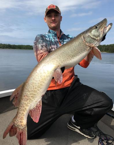 50.5in Muskie lake of the Woods ON