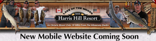 Harris Hill Resort Lake of the Woods - new "reactive" Mobile Friendly site coming soon